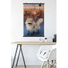 imageTrends International Star Wars Ahsoka  LothCat Wall Poster 34L x 224W Premium Unframed VersionPremium Poster  Clip Bundle