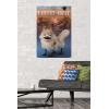 imageTrends International Star Wars Ahsoka  LothCat Wall Poster 34L x 224W Premium Unframed VersionPremium Unframed Version