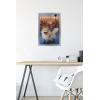 imageTrends International Star Wars Ahsoka  LothCat Wall Poster 34L x 224W Premium Unframed VersionSilver Framed Version