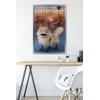 imageTrends International Star Wars Ahsoka  LothCat Wall Poster 34L x 224W Premium Unframed VersionSilver Framed Version