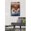 imageTrends International Star Wars Ahsoka  LothCat Wall Poster 34L x 224W Premium Unframed VersionWhite Framed Version