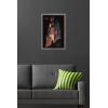 imageTrends International Star Wars Andor Season 2  Skyline Wall Poster 34L x 224W Premium Unframed VersionBarnwood Framed Version