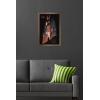 imageTrends International Star Wars Andor Season 2  Skyline Wall Poster 34L x 224W Premium Unframed VersionBronze Framed Version
