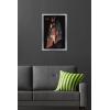 imageTrends International Star Wars Andor Season 2  Skyline Wall Poster 34L x 224W Premium Unframed VersionSilver Framed Version