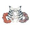 imageBioworld Ahsoka Disney Scrunchies Pack of 3