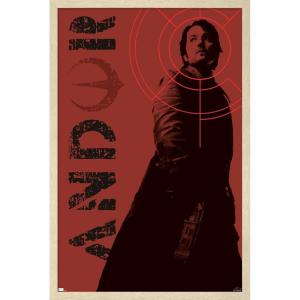 imageTrends International Star Wars Andor  Red Target Wall Poster 34L x 224W Premium Unframed VersionBlonde Framed Version