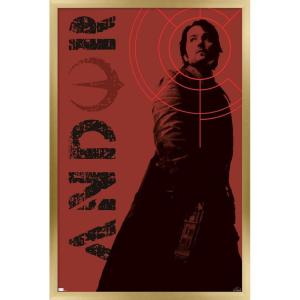 imageTrends International Star Wars Andor  Red Target Wall Poster 34L x 224W Premium Unframed VersionGold Framed Version