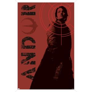 imageTrends International Star Wars Andor  Red Target Wall Poster 34L x 224W Premium Unframed VersionWhite Framed Version