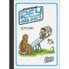 imageRey and Pals 30 Postcards Illustrated Star Wars Greeting Cards for Thank Yous and Birthdays Darth Vader and Son Series StationeryRey  Pals Postcards