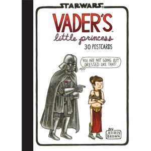 imageRey and Pals 30 Postcards Illustrated Star Wars Greeting Cards for Thank Yous and Birthdays Darth Vader and Son Series StationeryLeia  Vader Postcards