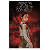 imageTrends International Star Wars The Force Awakens  Rey Staff Wall Poster 22375quot x 34quot Premium Unframed VersionWhite Framed Version