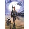 imageTrends International Star Wars The Force Awakens  Rey Wall Poster 22375quot x 34quot Premium Unframed VersionPremium Unframed Version