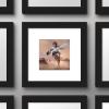 imageTrends International Gallery Pops Star Wars Saga  Moments Edge Luke Skywalker Wall Art Wall Poster 1200quot x 1200quot Black Frame VersionBlack Frame Version