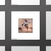 imageTrends International Gallery Pops Star Wars Saga  Moments Edge Luke Skywalker Wall Art Wall Poster 1200quot x 1200quot Black Frame VersionUnframed Version