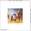 imageTrends International Gallery Pops Star Wars Saga  Moments Edge R2D2 and C3PO Wall Art Wall Poster 1200quot x 1200quot Black Frame VersionUnframed Version