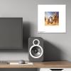imageTrends International Gallery Pops Star Wars Saga  Moments Edge R2D2 and C3PO Wall Art Wall Poster 1200quot x 1200quot Black Frame VersionUnframed Version