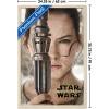 imageTrends International Star Wars The Force Awakens  Rey Portrait Wall Poster 22375quot x 34quot Premium Unframed VersionBlonde Framed Version