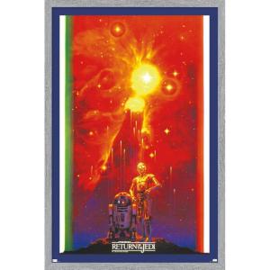 imageStar Wars Return of the Jedi  Droid Celebration Wall Poster 34Lquot x 224Wquot Premium Unframed VersionGray Framed Version