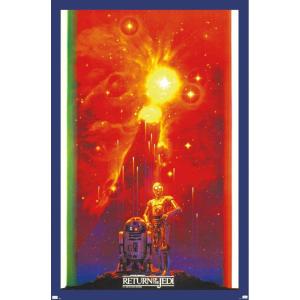 imageStar Wars Return of the Jedi  Droid Celebration Wall Poster 34Lquot x 224Wquot Premium Unframed VersionPremium Unframed Version