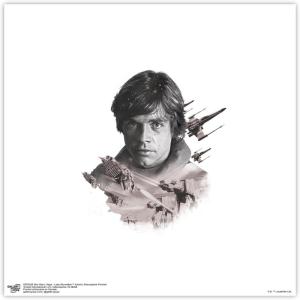 imageTrends International Gallery Pops Star Wars Saga  Luke Skywalker Artistic Atmosphere Wall Art Wall Poster 12quot x 12quot Black Framed VersionUnframed Version