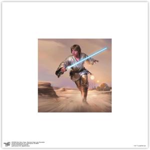 imageTrends International Gallery Pops Star Wars Saga  Moments Edge Luke Skywalker Wall Art Wall Poster 1200quot x 1200quot Black Frame VersionUnframed Version