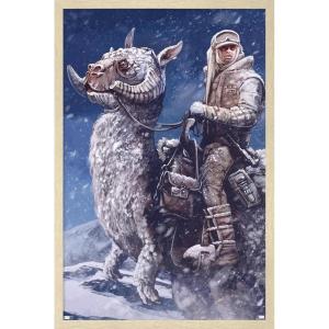 imageTrends International Star Wars The Empire Strikes Back by AJ Frena Wall Poster 34L x 224W Premium Unframed VersionBlonde Framed Version
