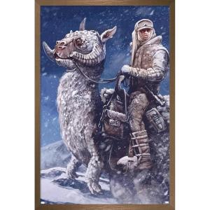imageTrends International Star Wars The Empire Strikes Back by AJ Frena Wall Poster 34L x 224W Premium Unframed VersionBronze Framed Version