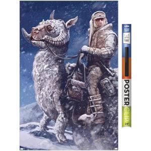 imageTrends International Star Wars The Empire Strikes Back by AJ Frena Wall Poster 34L x 224W Premium Unframed VersionPremium Poster  Clip Bundle