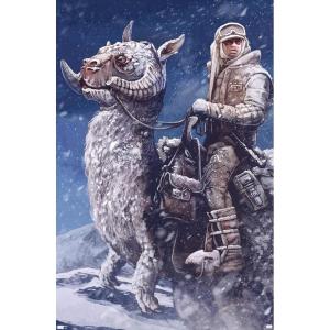 imageTrends International Star Wars The Empire Strikes Back by AJ Frena Wall Poster 34L x 224W Premium Unframed VersionPremium Unframed Version