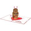 imageLovepop Valentines Day Card for Her Him  3D Star Wars Greeting PopUp Cards  BB8 Mine  5quot x 7quot  Blank Notecard ampamp Envelope IncludedChewbacca I Chews You