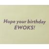 imagePapyrus Funny Star Wars Birthday Card Wookie for Happy BirthdayLeather Ewok