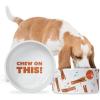 imageStar Wars Chewbacca Chew on This Dog Food Bowl 6 Inch  Dog Feeding Bowl Holds up to 35 Water Dry Food or Wet Food  Dishwasher Safe on Top Rack Dog BowlChewbacca