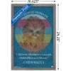 imageTrends International Star Wars Saga  Chewbacca Quote Wall Poster 22375quot x 34quot Premium Unframed VersionBarnwood Framed Version