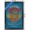 imageTrends International Star Wars Saga  Chewbacca Quote Wall Poster 22375quot x 34quot Premium Unframed VersionBlack Framed Version