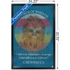 imageTrends International Star Wars Saga  Chewbacca Quote Wall Poster 22375quot x 34quot Premium Unframed VersionBlack Framed Version