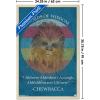 imageTrends International Star Wars Saga  Chewbacca Quote Wall Poster 22375quot x 34quot Premium Unframed VersionBlonde Framed Version