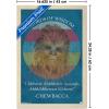 imageTrends International Star Wars Saga  Chewbacca Quote Wall Poster 22375quot x 34quot Premium Unframed VersionBlonde Framed Version