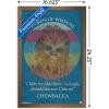 imageTrends International Star Wars Saga  Chewbacca Quote Wall Poster 22375quot x 34quot Premium Unframed VersionBronze Framed Version