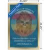 imageTrends International Star Wars Saga  Chewbacca Quote Wall Poster 22375quot x 34quot Premium Unframed VersionGold Framed Version
