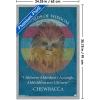 imageTrends International Star Wars Saga  Chewbacca Quote Wall Poster 22375quot x 34quot Premium Unframed VersionGray Framed Version