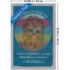 imageTrends International Star Wars Saga  Chewbacca Quote Wall Poster 22375quot x 34quot Premium Unframed VersionGray Framed Version