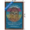imageTrends International Star Wars Saga  Chewbacca Quote Wall Poster 22375quot x 34quot Premium Unframed VersionMahogany Framed Version