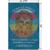 imageTrends International Star Wars Saga  Chewbacca Quote Wall Poster 22375quot x 34quot Premium Unframed VersionPremium Poster  Mount Bundle