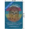 imageTrends International Star Wars Saga  Chewbacca Quote Wall Poster 22375quot x 34quot Premium Unframed VersionPremium Unframed Version
