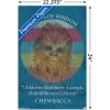 imageTrends International Star Wars Saga  Chewbacca Quote Wall Poster 22375quot x 34quot Premium Unframed VersionPremium Unframed Version
