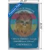 imageTrends International Star Wars Saga  Chewbacca Quote Wall Poster 22375quot x 34quot Premium Unframed VersionSilver Framed Version