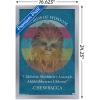 imageTrends International Star Wars Saga  Chewbacca Quote Wall Poster 22375quot x 34quot Premium Unframed VersionSilver Framed Version