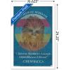 imageTrends International Star Wars Saga  Chewbacca Quote Wall Poster 22375quot x 34quot Premium Unframed VersionWhite Framed Version