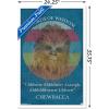 imageTrends International Star Wars Saga  Chewbacca Quote Wall Poster 22375quot x 34quot Premium Unframed VersionWhite Framed Version