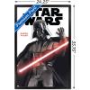 imageTrends International Star Wars Saga  Darth Vader Feature Series Wall Poster 34L x 224W Premium Unframed VersionBlack Framed Version